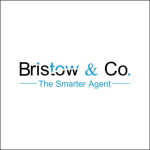 Logo Design by iber