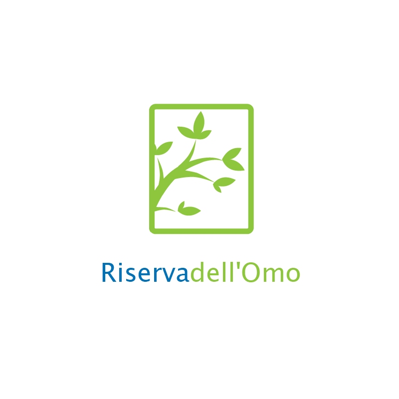 Diseño de Logo por wahwah para Services on Demand | Diseño #2821015