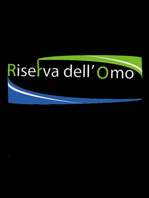 Logo Design by Dobi