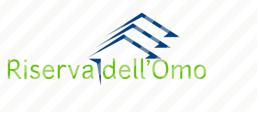 Logo Design by OBdesing