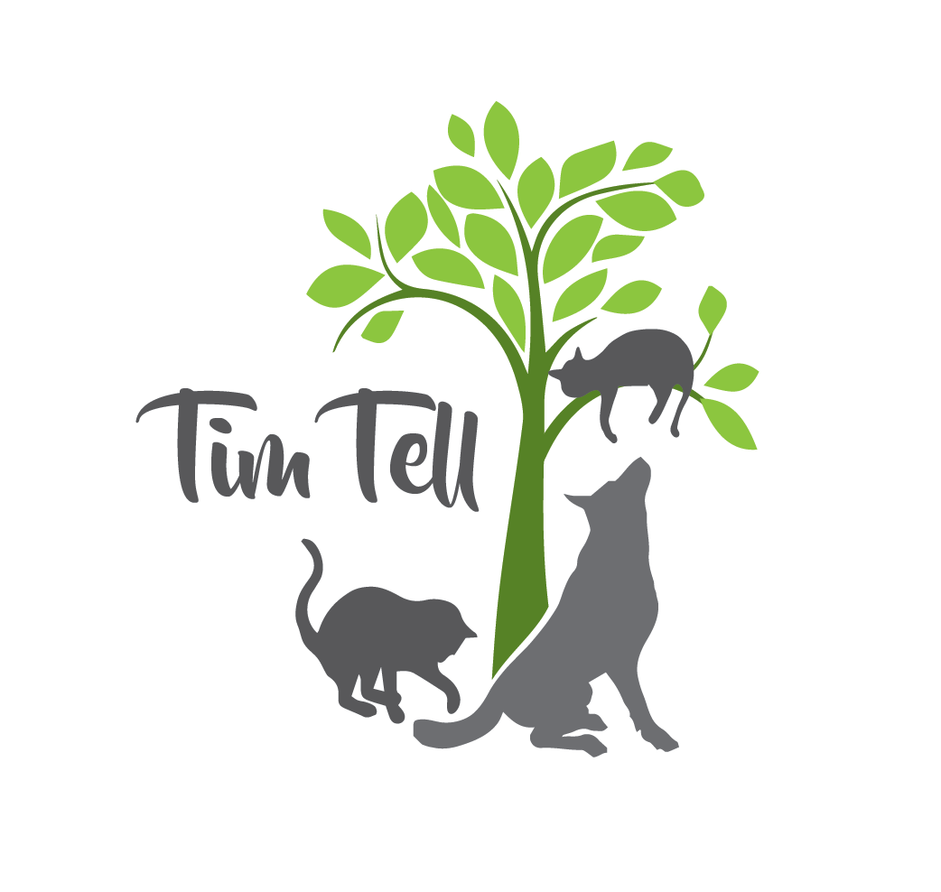 Logo Design by jose_luiz for this project | Design #18492993