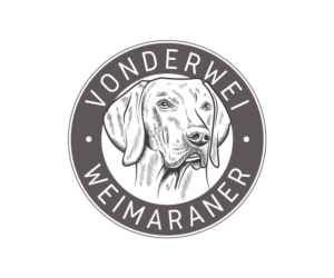 Logo Design by 91.kremena.petrova