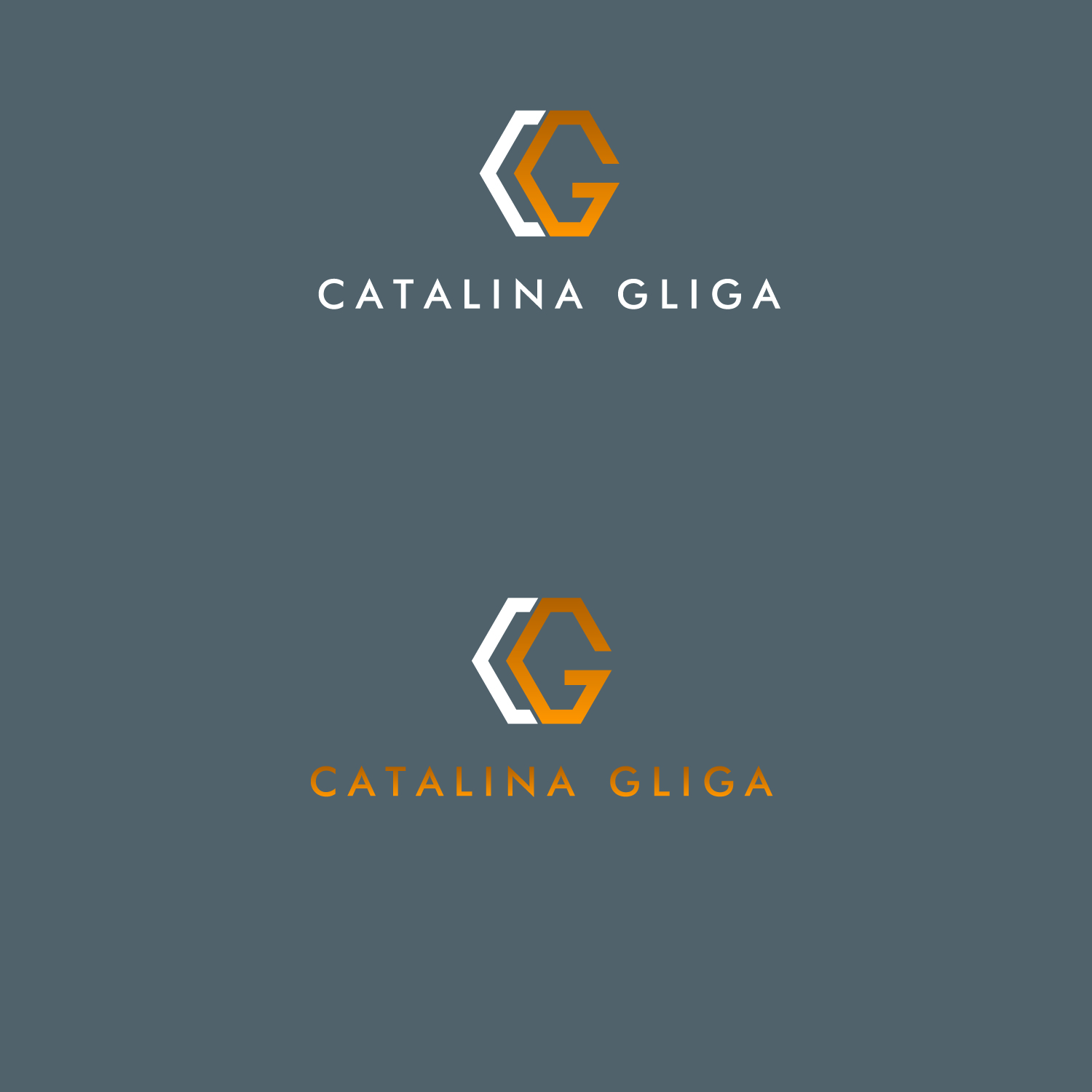 Logo Design by emptyboxgraphics for Catalina Gliga Studio | Design #18485548
