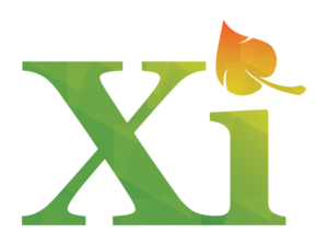 Logo Design by EccentricFox