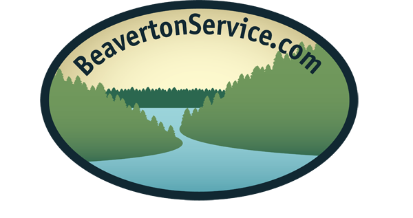 Logo-Design von Mr. Shin für dieses Projekt | Design #2818363