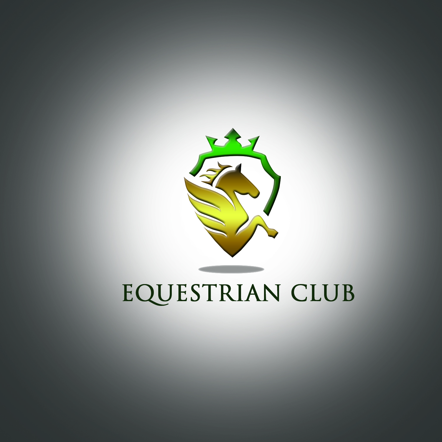 Diseño de Logo por numzee 2 para este proyecto | Diseño #18498983