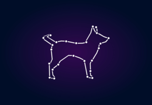 Graphic Design by Exotic Blue for Under Lucky Stars SL | Design: #18491162