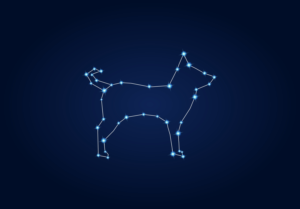 Graphic Design by Exotic Blue for Under Lucky Stars SL | Design: #18496269