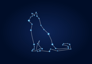 Graphic Design by Exotic Blue for Under Lucky Stars SL | Design: #18496276