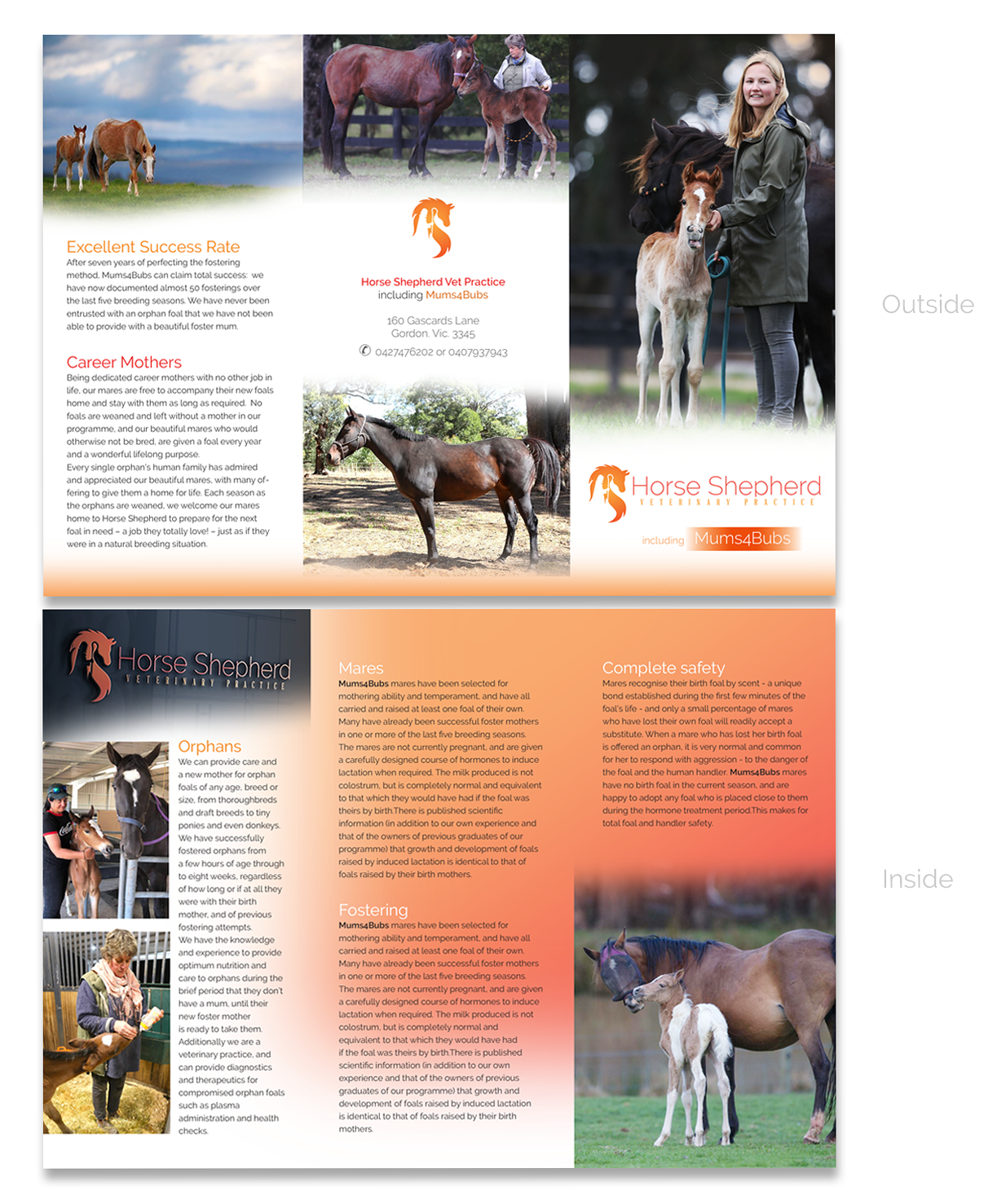Flyer Design by see why for Horse Shepherd Park | Design #18626683