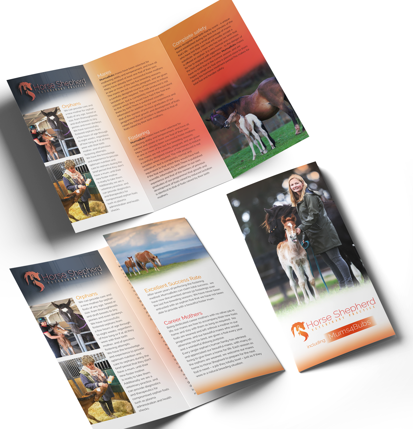 Diseño de Flyer por see why para Horse Shepherd Park | Diseño #18634550