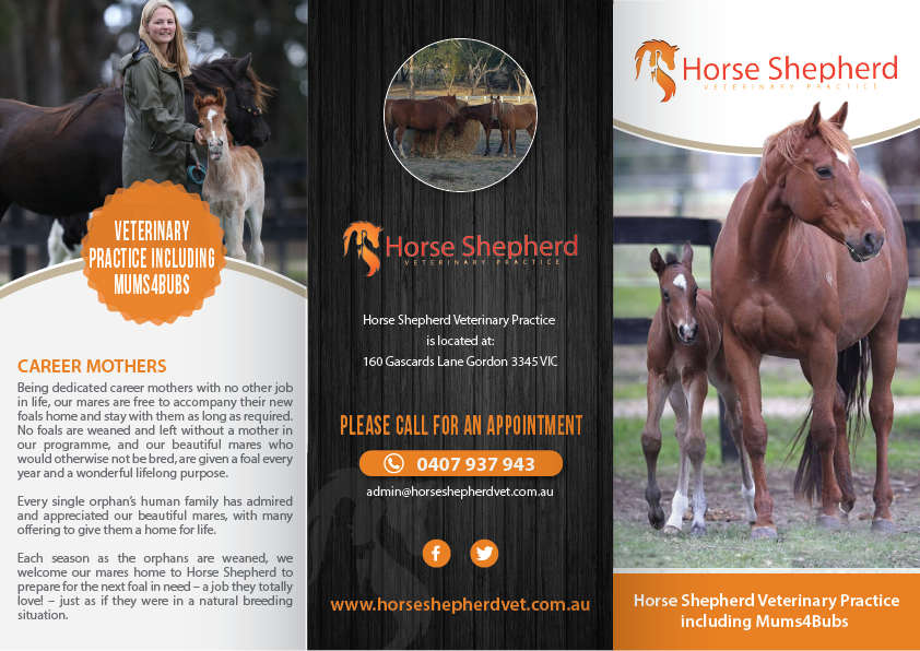 Flyer Design by alex989 for Horse Shepherd Park | Design #18813824