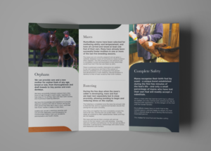 Horse Shepherd Veterinary Practice including Mums4Bubs | Design de Flyer par Daniel James