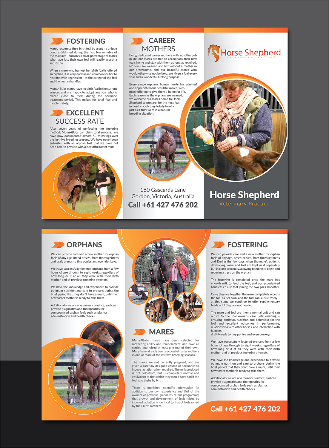 Flyer Design by Deziners Zone for Horse Shepherd Park | Design #18615466