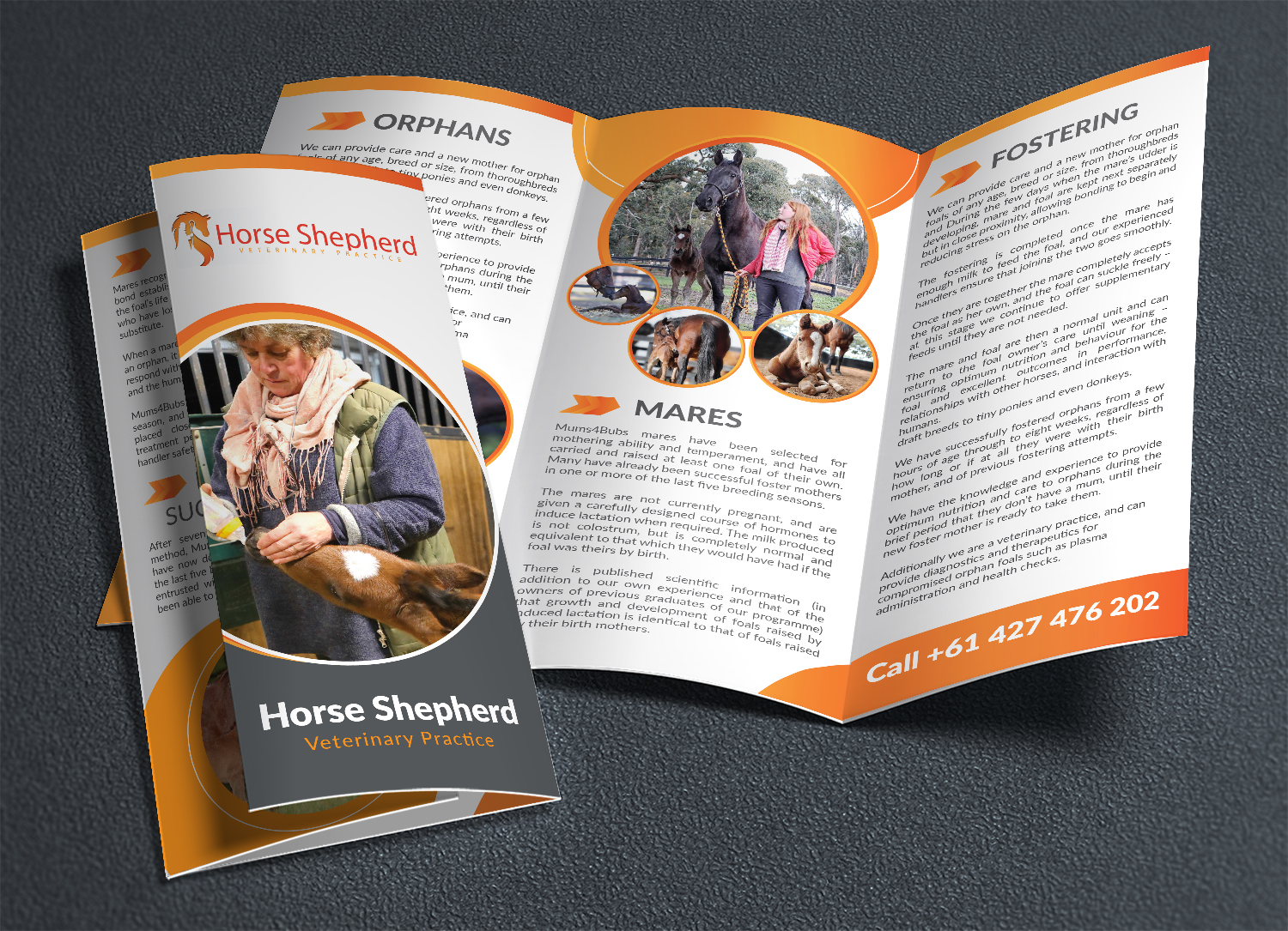 Flyer Design by Deziners Zone for Horse Shepherd Park | Design #18615467