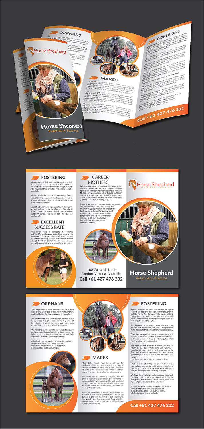 Diseño de Flyer por Deziners Zone para Horse Shepherd Park | Diseño #18615468