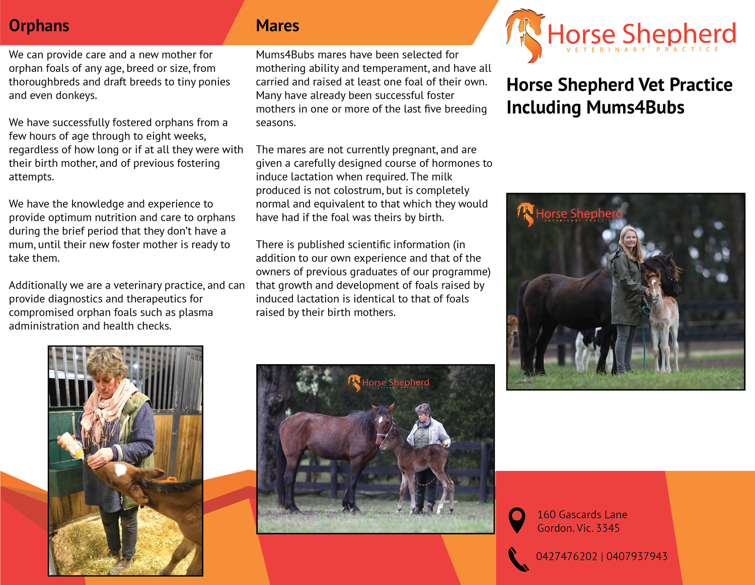 Flyer Design by Tng HuiTing for Horse Shepherd Park | Design #18633389