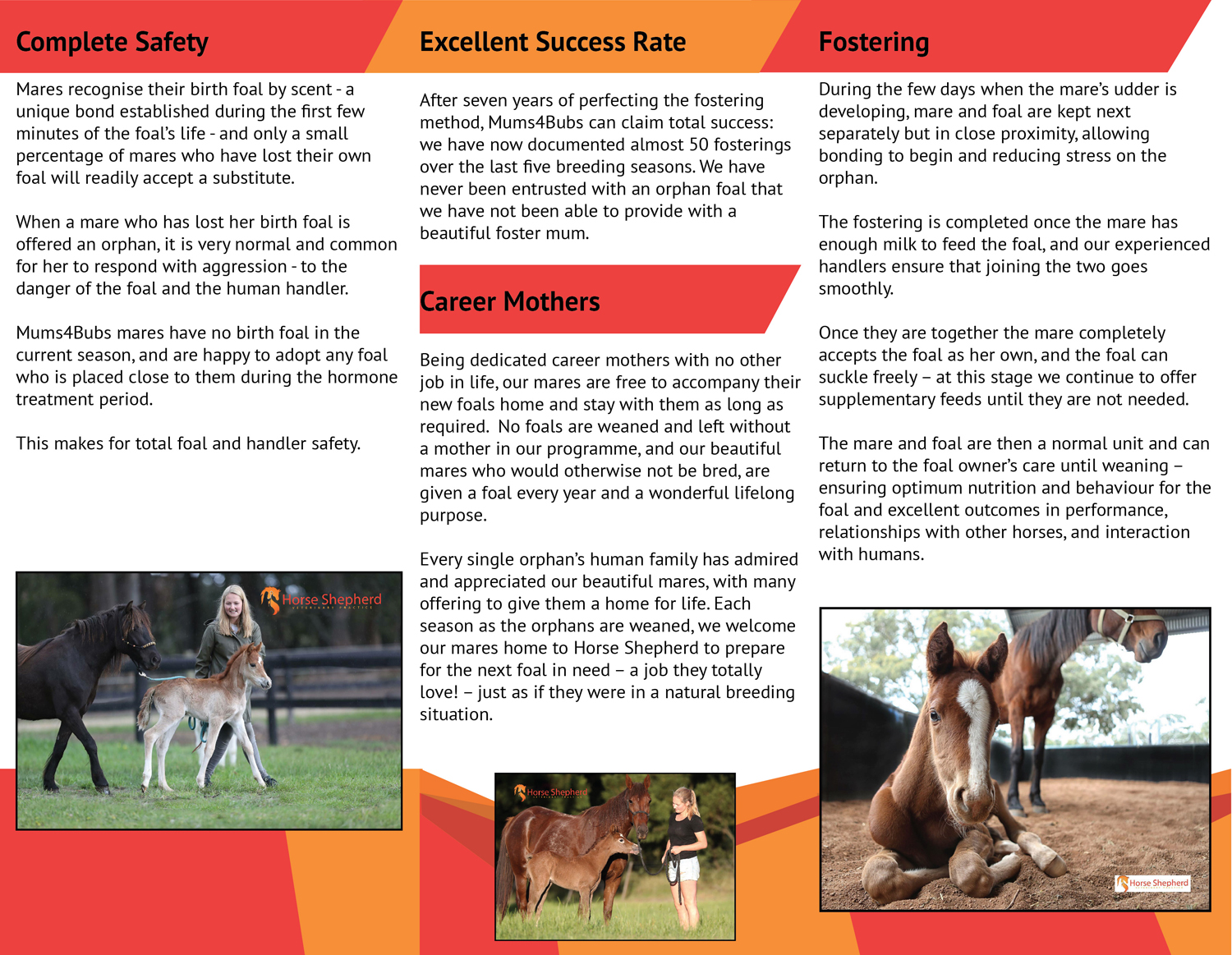 Flyer Design by Tng HuiTing for Horse Shepherd Park | Design #18633390