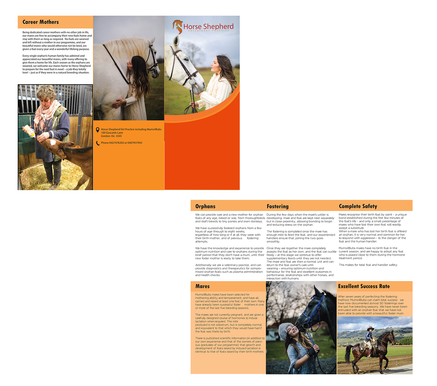 Flyer Design by Tng HuiTing for Horse Shepherd Park | Design #18633661