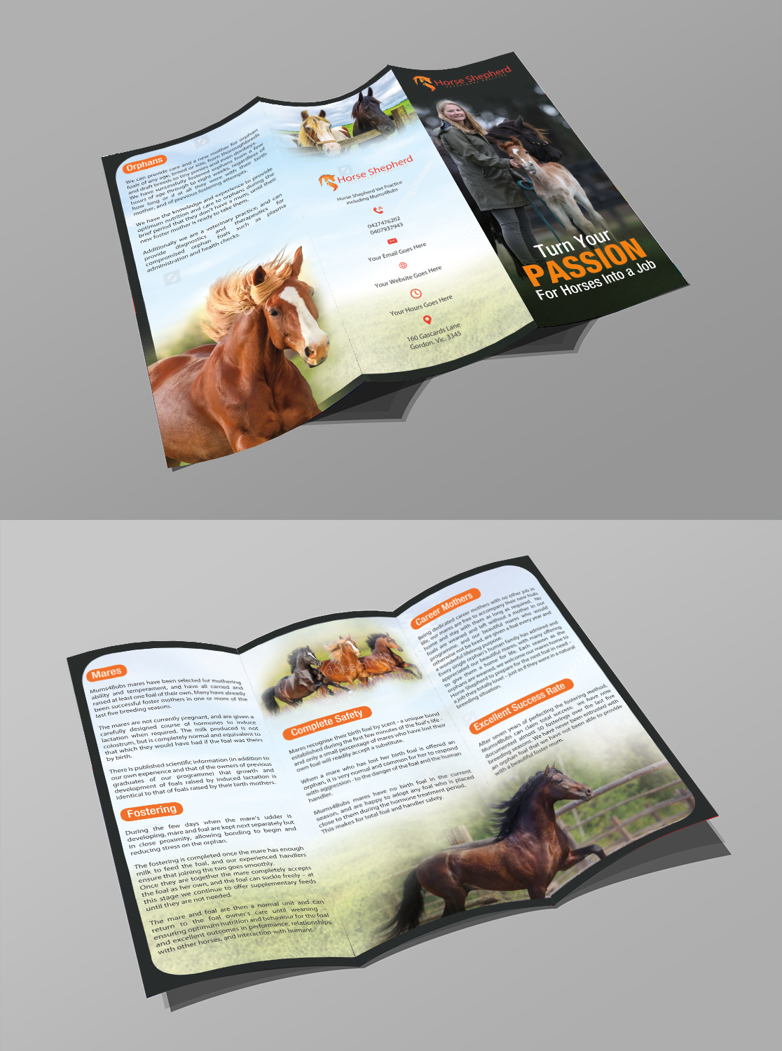 Flyer Design by creative.bugs for Horse Shepherd Park | Design #18615719
