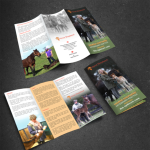 Flyer Design by creative.bugs for Horse Shepherd Park | Design: #18616442