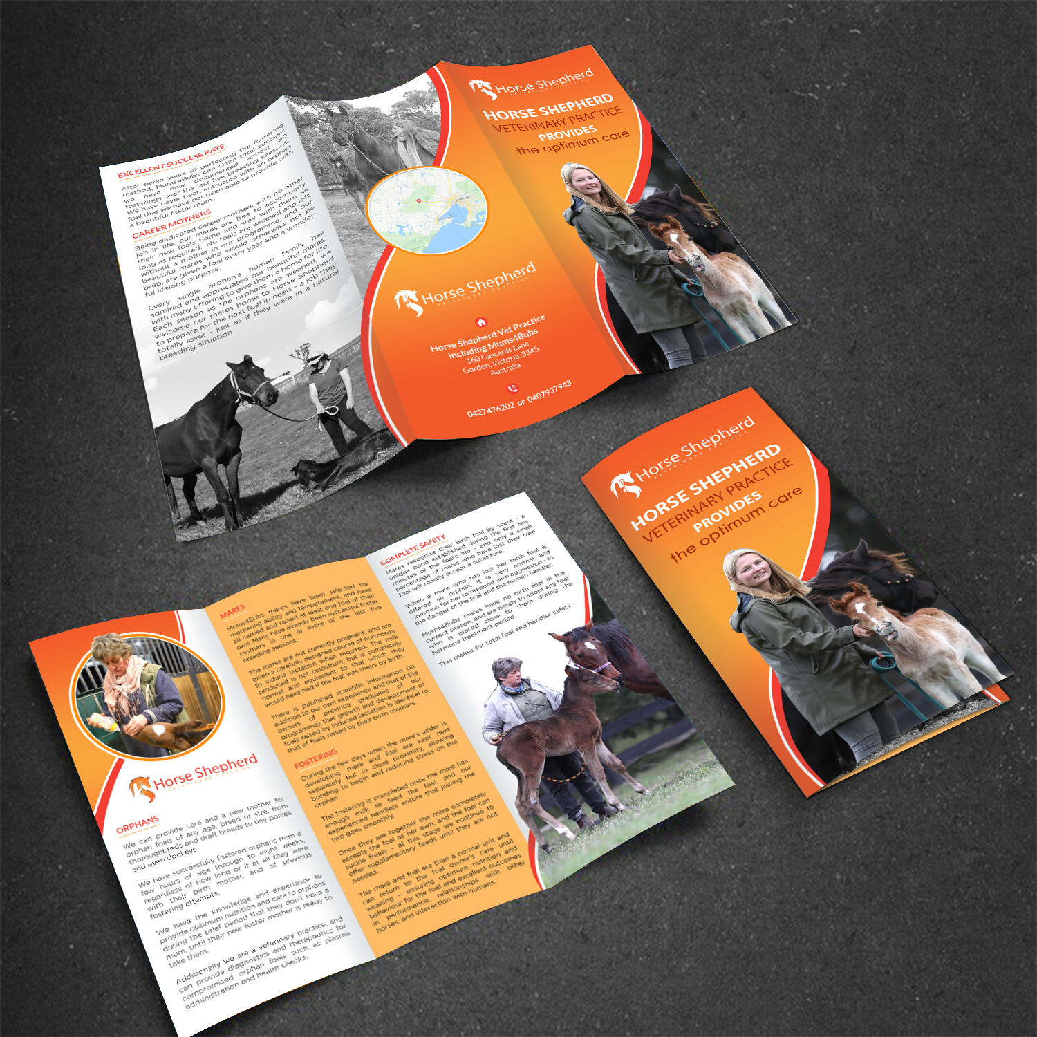 Flyer Design by creative.bugs for Horse Shepherd Park | Design #18616444