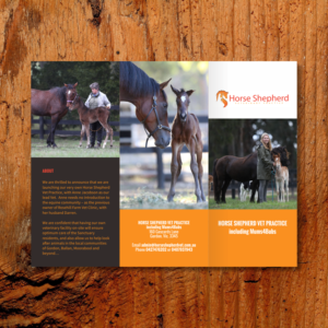 Flyer Design by barinix for Horse Shepherd Park | Design: #18637778