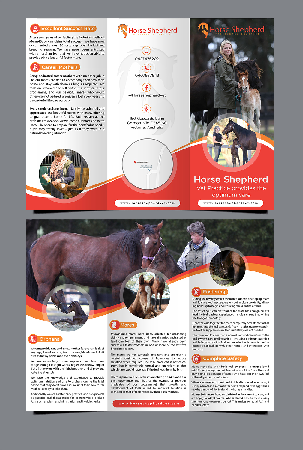 Flyer Design by Schöpfer for Horse Shepherd Park | Design #18655459