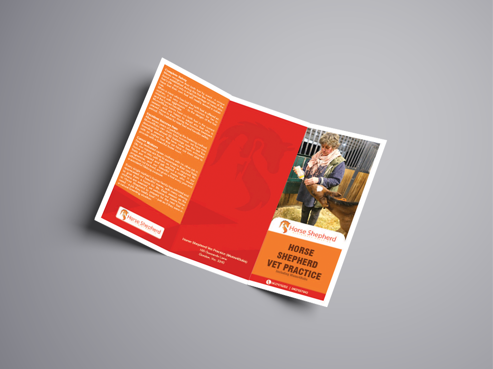 Flyer Design by mohammed0087 for Horse Shepherd Park | Design #18698594