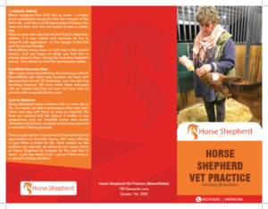 Flyer Design by mohammed0087 for Horse Shepherd Park | Design: #18698595
