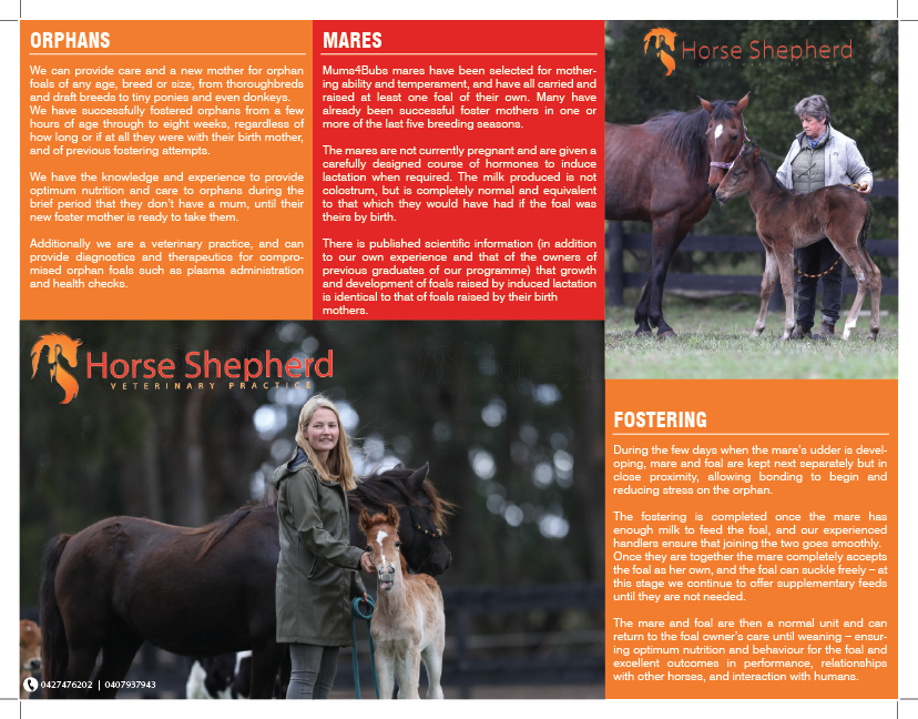 Flyer Design by mohammed0087 for Horse Shepherd Park | Design #18698596