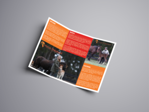 Flyer Design by mohammed0087 for Horse Shepherd Park | Design: #18698597