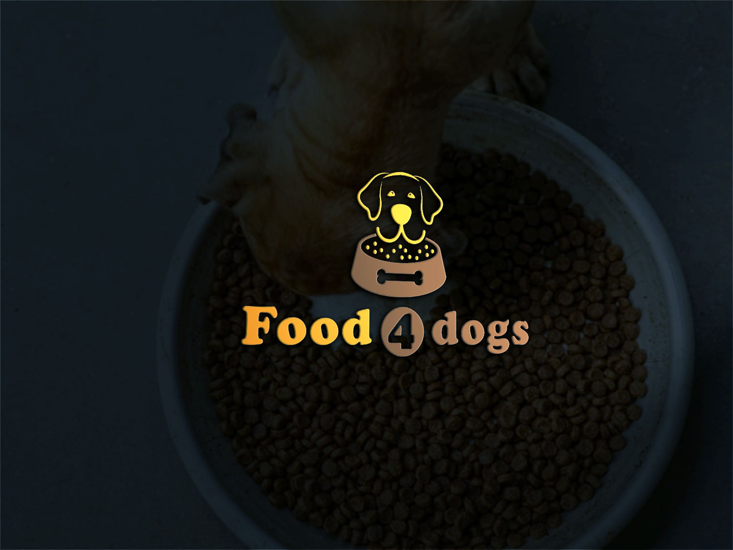 Logo Design by Deziners Zone for this project | Design #18506820