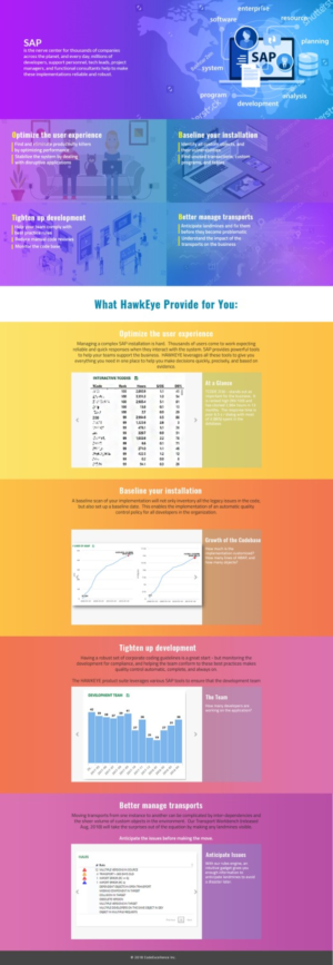 Wordpress Design by Dina Web