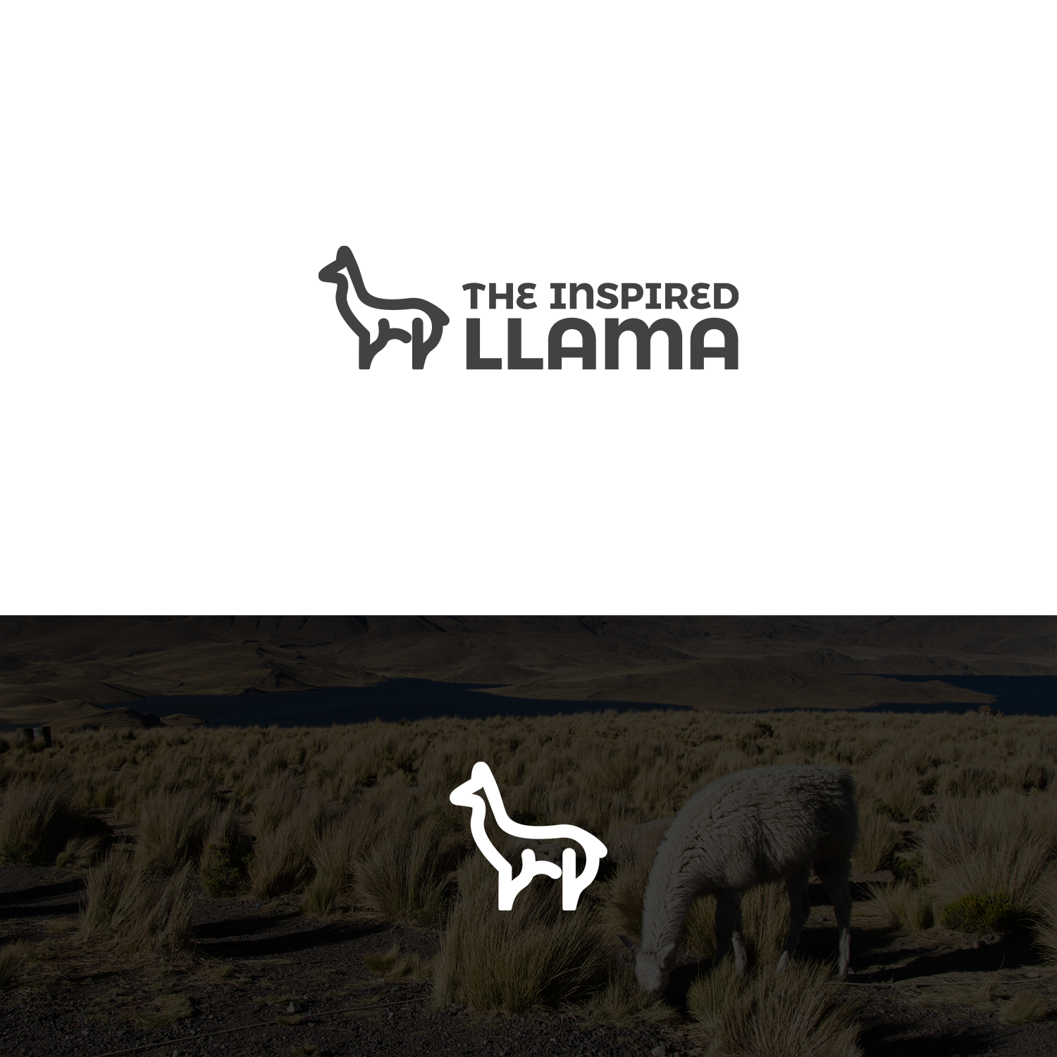 Logo Design by Decos Studio for this project | Design #18560544