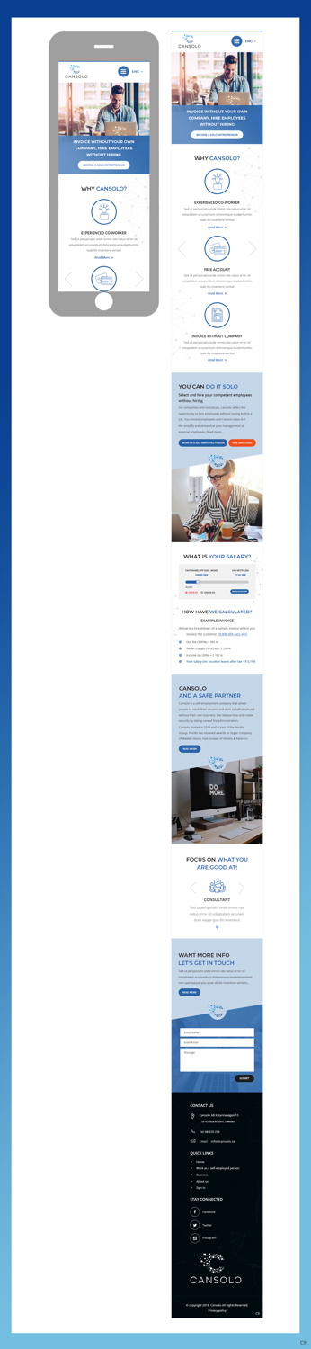 Wordpress Design by pb for Cansolo AB | Design #18597182
