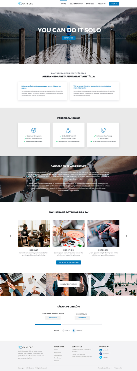 Diseño Wordpress por Visual Angel para Cansolo AB | Diseño #18598562