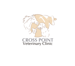 Logo Design by nanocb72 for this project | Design: #18509829