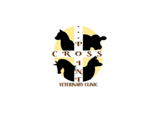 Logo Design by Mary Design for this project | Design: #18517847