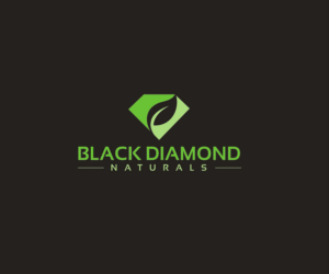 Logo Design by Vishak vasu