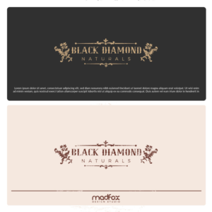 Logo Design by WILD FOX Desing Studio