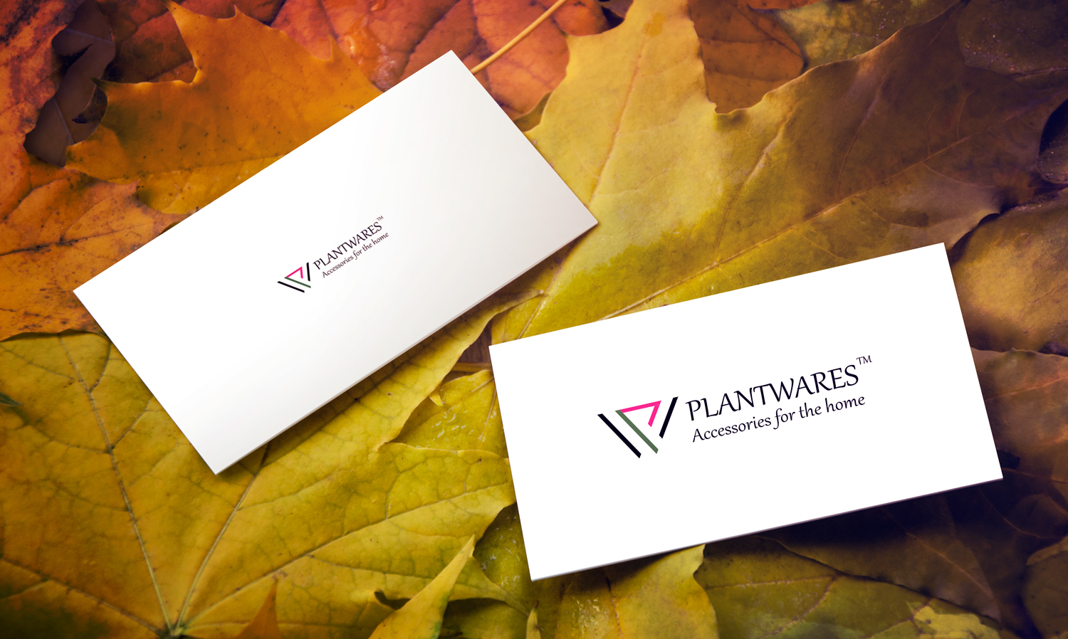 Logo Design by GD Tariq for Blue Caribou Design | Design #18619190