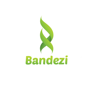 Logo Design by cgitech