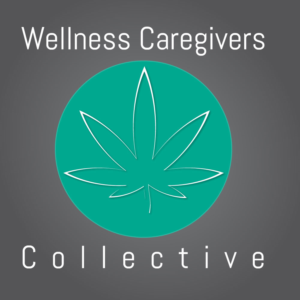 Logo Design by Iamsos