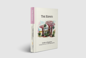Book Cover Design by barinix