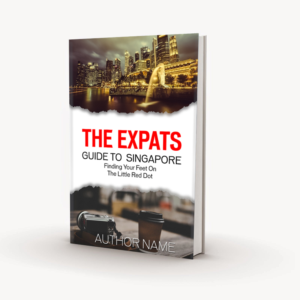 Book Cover Design by designersaumya 2