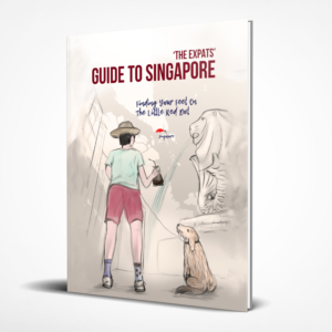 Book Cover Design by Cheeky Pinto