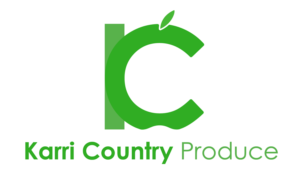 Logo Design by AssimFarahat