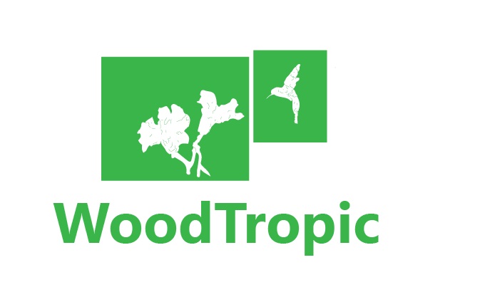 Logo Design by Anton for this project | Design #2812587