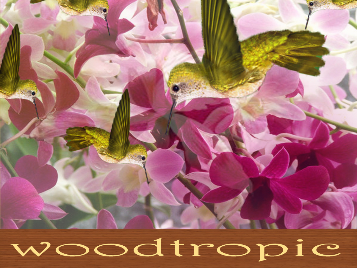 Logo Design by Syed Nabeel for this project | Design #2812298